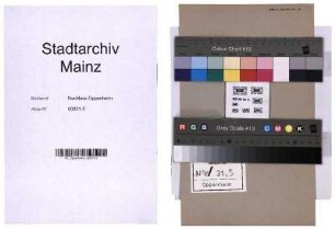 Rotary-Club Mainz: Verschiedenes