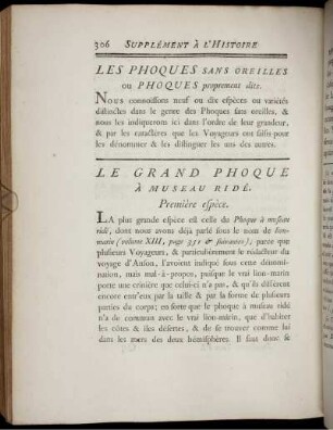 Les Phoques Sans Oreilles ou Phoques proprement dits.