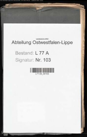 Beschwerden über das Stadtgericht Detmold