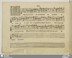 VII. Haec est vita aeterna