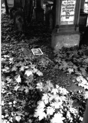 Grabstein A II/6/33 (Detailaufnahme)