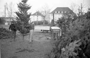 Christbaumverkauf auf dem Karlsruher Messplatz