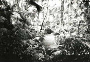 Palmengarten