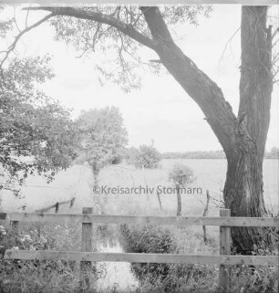 Stegen: Alte Alster: Alster-Beste-Trave-Kanal: Überreste: vorn Geländer: rechts Baum: hinten Bäume und Gehölz
