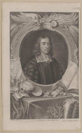 Bildnis des Thomas Willis