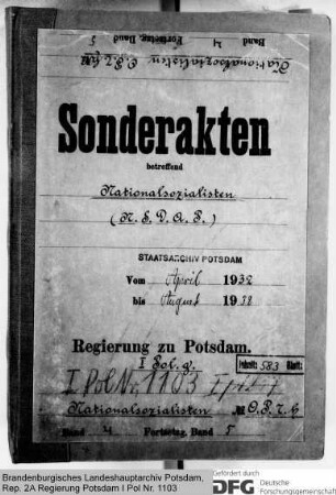 Nationalsozialisten, NSDAP
