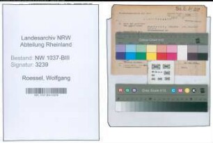 Entnazifizierung Wolfgang Roessel , geb. 30.04.1911 (Arzt)