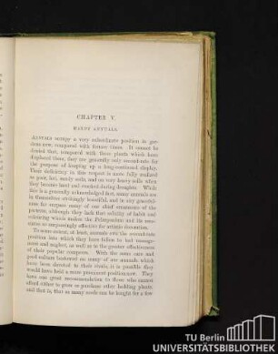 Chapter V. Hardy annuals.