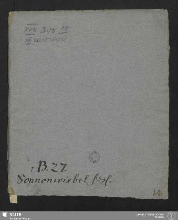 22,22: Sonnenwirbel Fdg. betr. - XVII 300 8. (22,22)