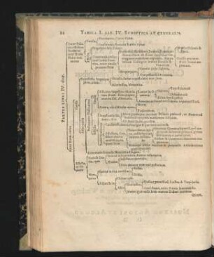 Tabula I. - Tabula XXXII.