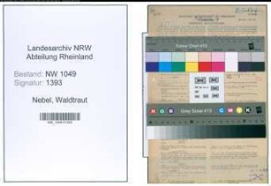 Entnazifizierung Waldtraut Nebel , geb. 17.09.1903 (Lehrerin)