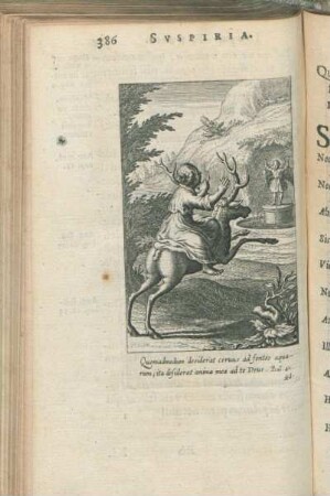 [XI.] Quemadmodum desiderat ceruus ad fontes aquarum; ita desiderat anima mea ad te Deus. Psal. 41.