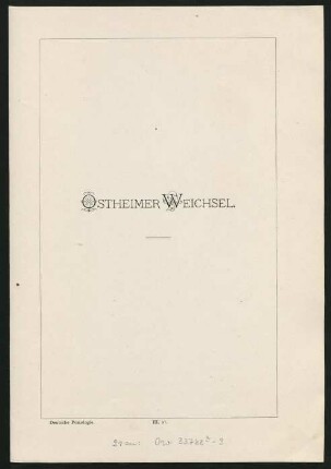 III. 21. Ostheimer Weichsel