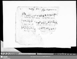 2 Wolfgang Figulus: Veni redemptor gentium 