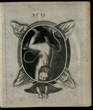 Illustration No. 16. - Illustration No. 20.