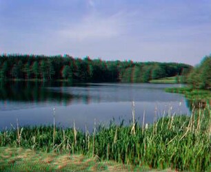 Wasserläufe Freiberg: Rothbächer Teich