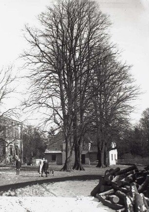 Gutshof. Frau mit zwei Kindern und einem Hund für Fotograf posierend