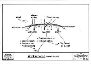 Wirkschema