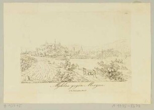 Stadtansicht von Mylau im Vogtland mit der mittelalterlichen Burg über die Felder von Osten
