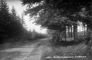 Alte Reitzenhainer Straße (Doppelringelflügel)