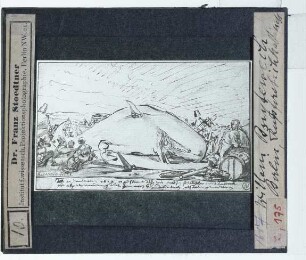 Buytewech, Gestrandeter Wal am Strand von Scheveningen (Zeichnung) (Berlin KK 768)
