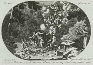 Venus und Adonis