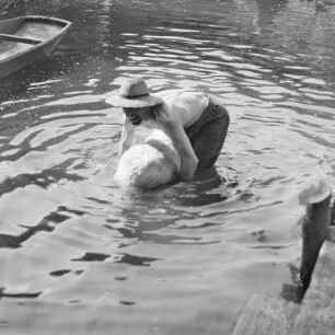 Spreewaldbauer reinigt sein Schaf im Fluss vor seinem Gehöft. : Błótowčan rjedźi swoju wowcu w rěce před swojim statokom.