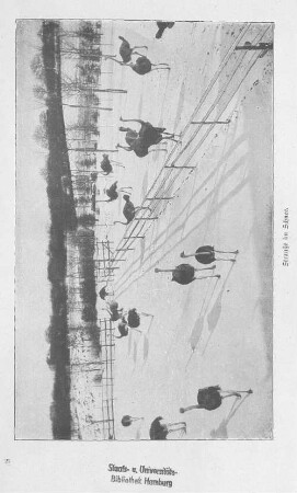 Strauße im Schnee.
