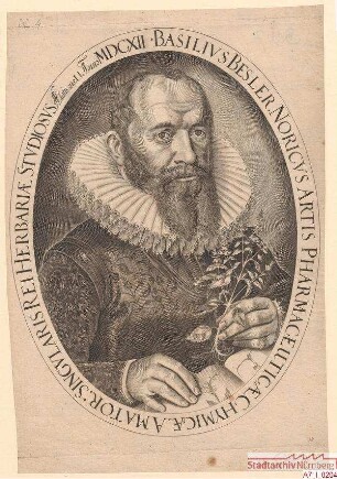 Basilius Besler, Pharmazeut und Chemiker, hervorragender Botaniker