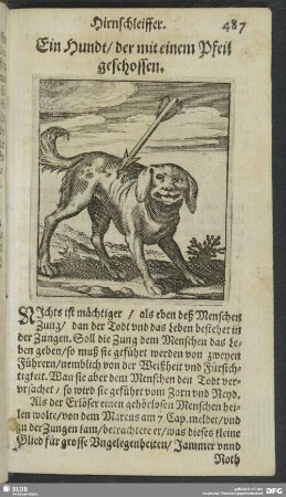 Ein Hundt, der mit einem Pfeil geschossen