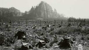 Foto, Sächsische Schweiz