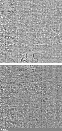 Lilie / Tj = S.19/20+27/28