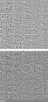 Lilie / Tj = S.19/20+27/28