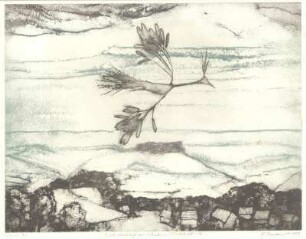 Weite Landschaft mit Lilienstein / Windsbraut VII