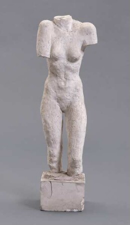 Phantom Torso II