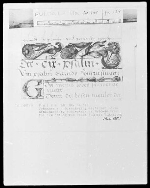 Johannes Bugenhagen, Psalmenkommentar — Vignette mit Pfau, Blumen und kleinen Vögeln, Folio 174recto