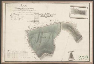 Plan vom herrschaftl. Wald Füsberg im Ortenberger Revier
