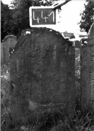 Grabstein 441 (Index: 100102741) Material: Sandstein Zustand: stark verwittert, abgeblättert, vollständiger Textverlust Maße HxBxT: 97x58x4 cm Beschreibung: Stele, eingezogener Rundbogenabschluss: Grabstein 441