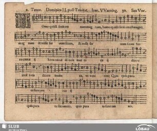 30. Homo quidam fecit caenam magnam