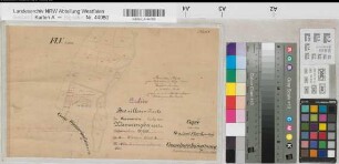Wiemeringhausen (Olsberg), Separation Wiemeringhausen, Bl. 4 Brouillonkarte Assinghausen Flur 5
