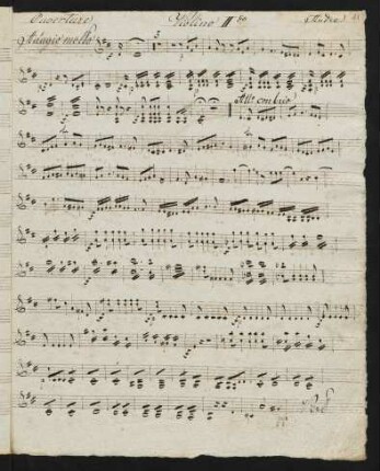 11-14 Violino II