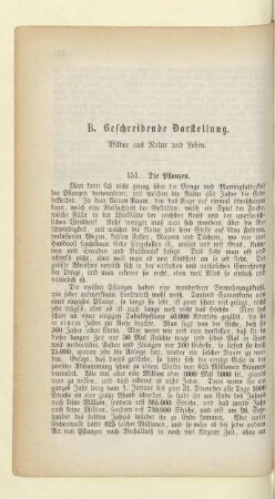 B. Beschreibende Darstellung