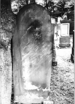 Grabstein 892 (Index: 99630384) Material: Sandstein Zustand: verwittert mit Textverlust Maße HxBxT: 167x63x10 cm Beschreibung: Stele mit eingezogenem Rundbogenabschluß: Grabstein 892