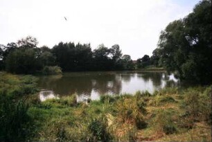 Flächennaturdenkmal: Teich mit Bäumen und Wiese