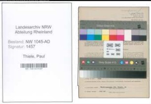 Entnazifizierung Paul Thiele , geb. 28.12.1905 (Angestellter)