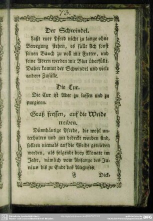 Der Schwindel