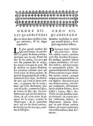 Ordre XII. Les Quadrupedes qui ont deux dents incisives à chaque mâchoire, & les doigts onguiculés. - Ordo XII. Quadrupeda Dentibus incisoribus in utrâque maxillâ duobus, & digitis unguiculatis donata
