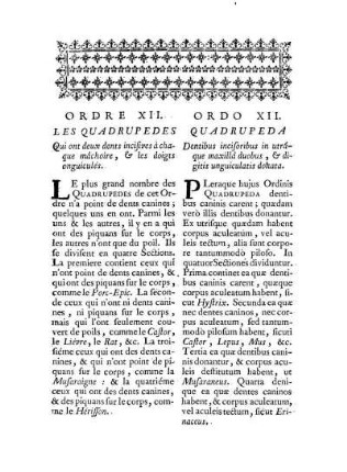 Ordre XII. Les Quadrupedes qui ont deux dents incisives à chaque mâchoire, & les doigts onguiculés. - Ordo XII. Quadrupeda Dentibus incisoribus in utrâque maxillâ duobus, & digitis unguiculatis donata