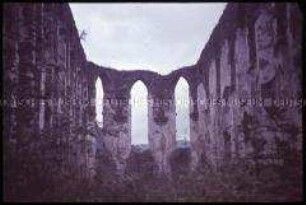 Ruine des Kloster Stuben bei Bremm an der Mosel