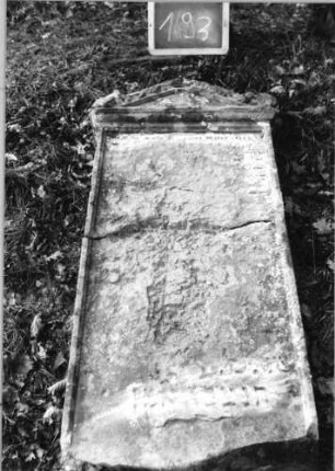 Grabstein 193 (Index: 100090520) Material: Sandstein Zustand: zerbroch/abgeblätt/verwitt/Textverlust Maße HxBxT: 124x49x12 cm Beschreibung: Stele, Giebel mit Eckakroteren, rechteckiges Schriftfeld eingetieft Symbolik: Ranken im Giebel: Grabstein 193